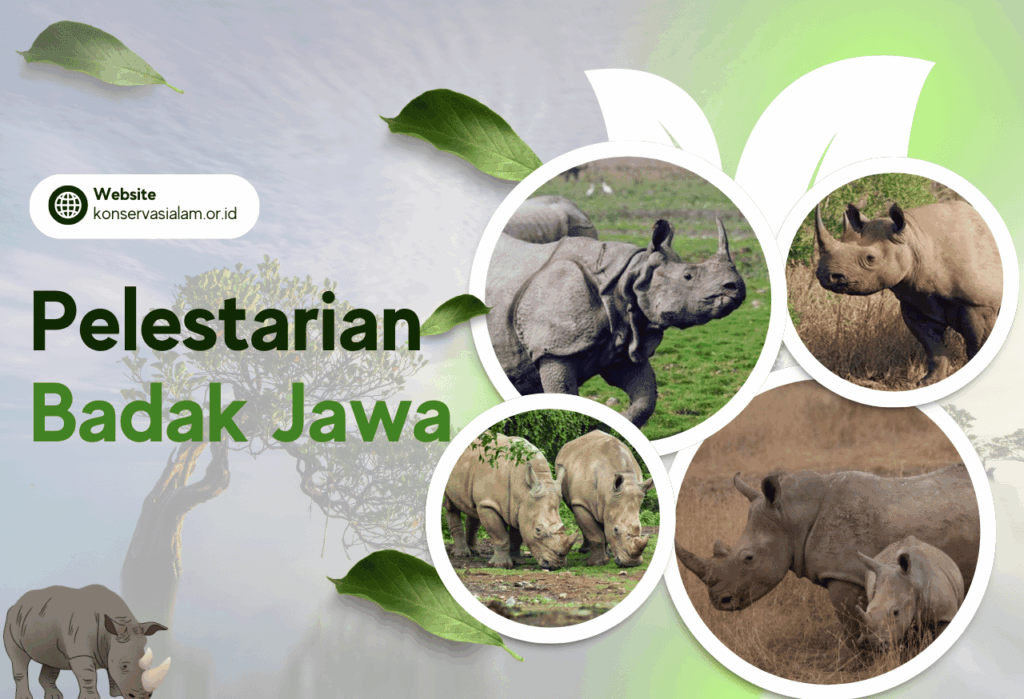 Strategi di Tengah Ancaman Kepunahan