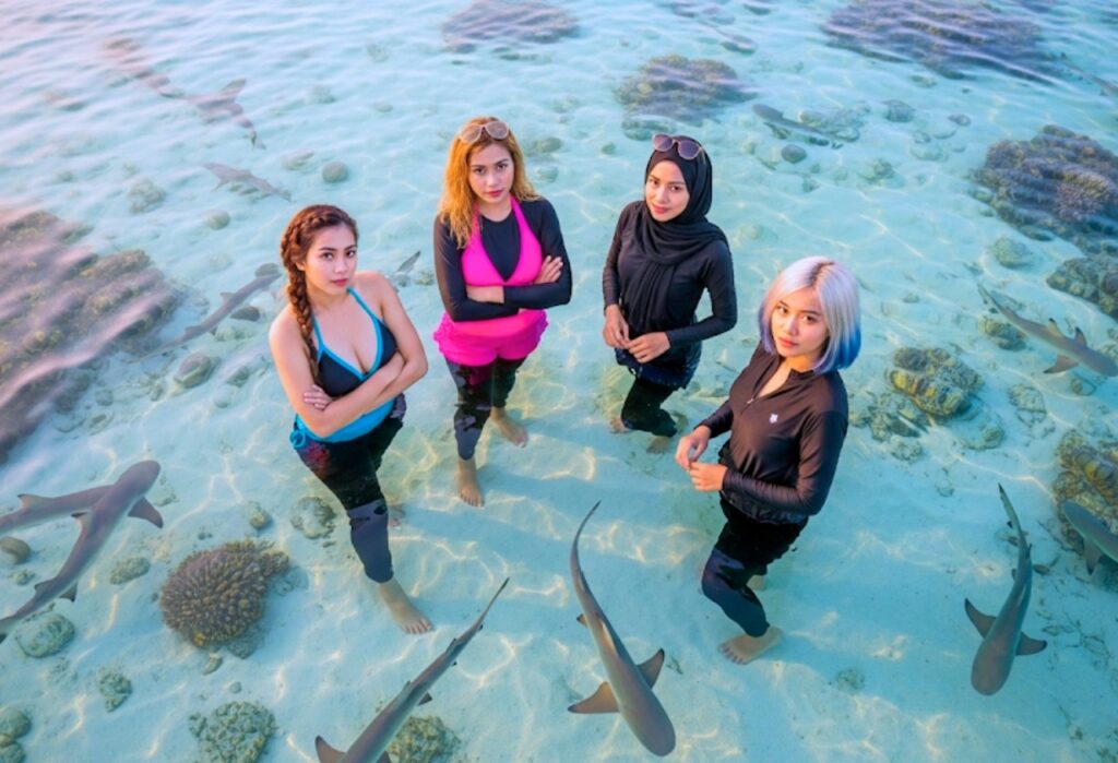 Konservasi Alam: Melihat Penangkaran Hiu di Karimunjawa