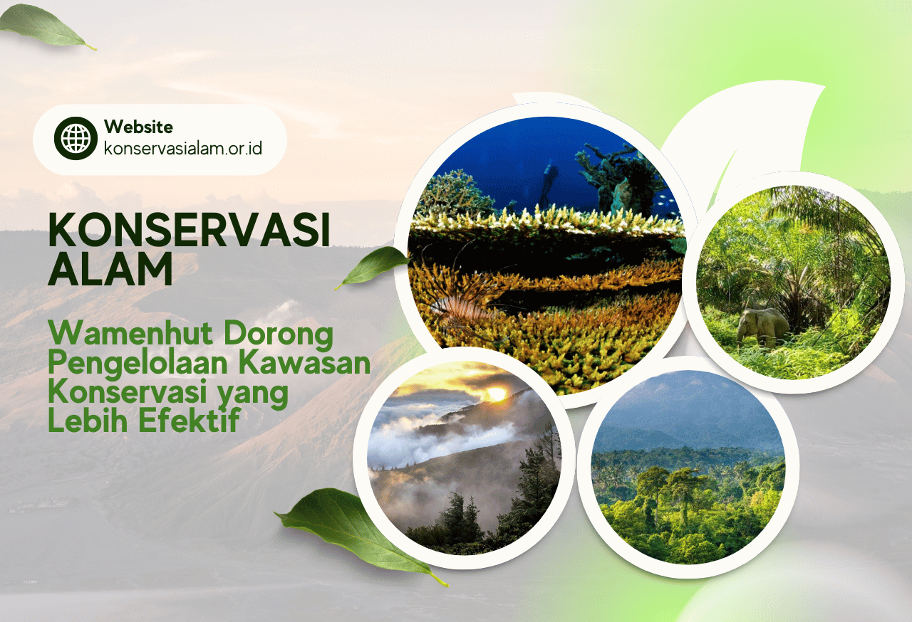 Konservasi Alam